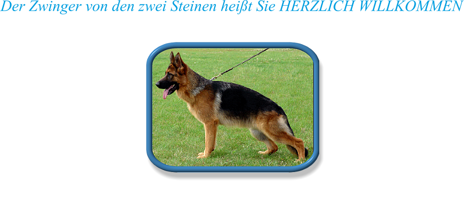 Der Zwinger von den zwei Steinen heißt Sie HERZLICH WILLKOMMEN Zucht Deutscher Schäferhunde seit 1967