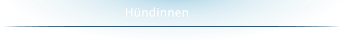 Hündinnen