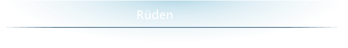 Rüden